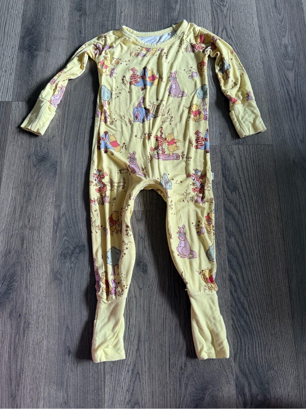 Little sleepies playtime with Pooh crescent zippy